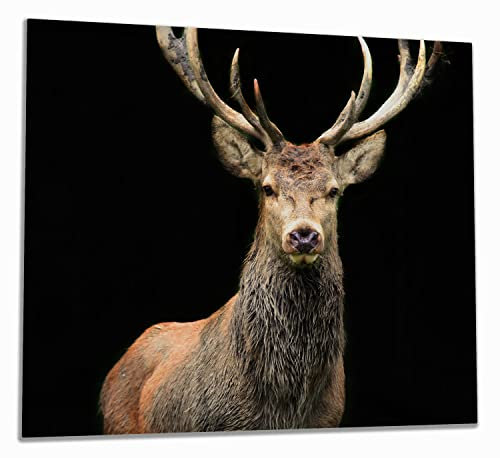 Wallario Herdabdeckplatte aus Glas, 1-teilig, 60x52cm, für Ceran- und Induktionsherde - Motiv: Stattlicher Rothirsch