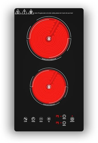 VBGK plaque de cuisson, 220V, 3000W, plaque vitrocéramique 2 feux avec commande tactile LED, 9 niveaux de puissance,Verrouillage enfant & Minuteur 4heures,plaque vitrocéramique 28.8 centimètre 2 feux