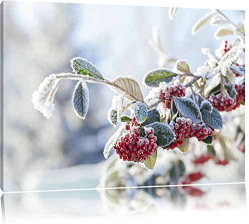 Pixxprint Vogelbeeren im Winter, Größe: 100x70cm, Leinwandbild, fertig gespannt, Wandbild, Dekoration, Kunstdruck, kein Poster