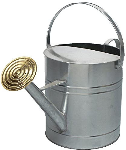 Easy Shopping® 9 Litres / 2 Gallon Garden Plant Flower Galvanised Metal Steel Watering Can with Brass Rose