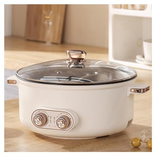 HJXBD888 Pentola Divisa in Due Scomparti, Doppio Interruttore di Comando, Multifunzione Pentola con Cestelli Separati, per Le Feste di Compleanno (con 2 Reti a Tenuta Stagna),4.5L