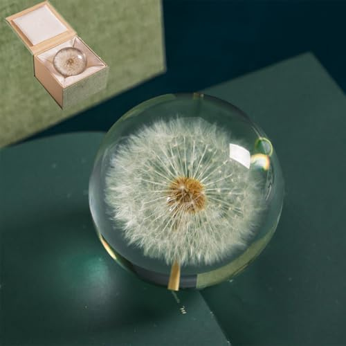 Dandelion Resin Paperweight with Real Flower Encased, Crystal Ball Gift for Home Decor - Handmade Unique Desk Accessory (7/8/9cm Diameter) (8cm)