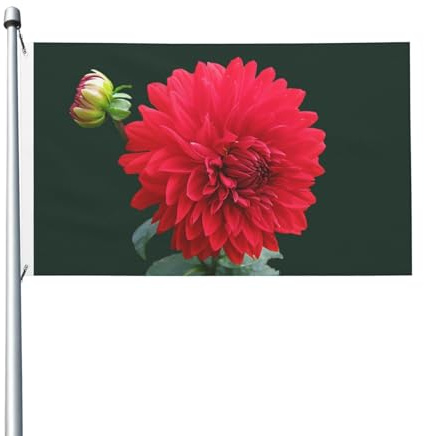 Drapeau de jardin en polyester double face, 152 cm x 91 cm, avec œillets, motif dahlia rouge