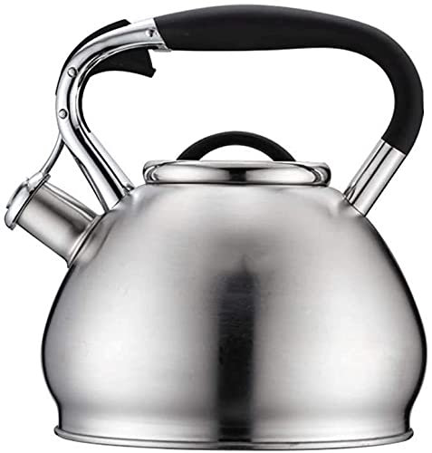 ZHANGZONG Bouilloire INOX Théière en Fonte Bouilloire sifflante theiere bodum Bouilloire à sifflet en Acier Inoxydable, Plaque de Cuisson, théière à Bouilloire, Bouilloire à sifflet en m