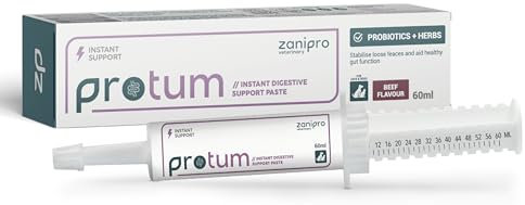 Zanipro Pasta Probiotica e Prebiotica per Cani e Gatti contro la Diarrea e dopo il Vermifugo, 3 Miliardi di Fermenti Vivi, Cura Intestinale – Rassodamento delle Feci (60ml) Manzo