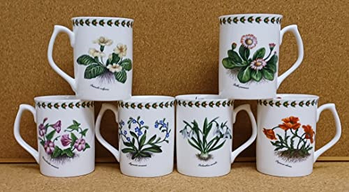 Botanic Flowers Lot de 6 tasses en porcelaine fine Motif fleurs 275 ml