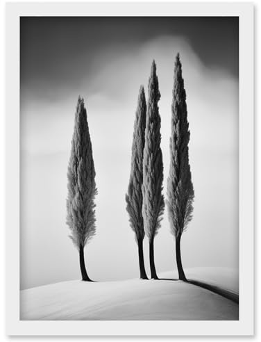 Artery8 Group of Cypress Trees on Snowy Hill Minimalist Black and White Photograph Cypresses in Foggy Winter Landscape Artwork Framed Wall Art Print A4
