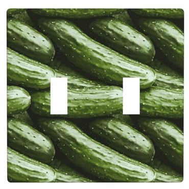 Placca di copertura per interruttore della luce a levetta, 2 piastre da parete di dimensioni standard 11,4 x 11,4 cm, divertente piastra di copertura per interruttore a doppia luce decorativa