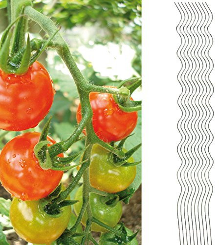 10x Tomatenspiralstab 180cm voll verzinkt Tomatenstab Tomaten Ranke Pflanzstab Stahl Profi Qualität (1-50 Stück) Tomatenspiralstäbe