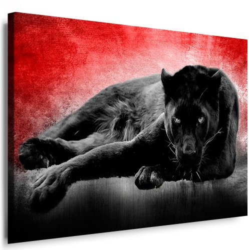 Julia-Art - Bilder Panther Leinwand mit Keilrahmen 40 x 30 cm Leinwandbild XXL Wandbild Tiere Kunstdrucke Tierwelten Bild Wanddesign Wanddekoration c-642v-204