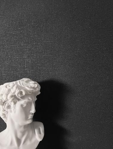 NEWROOM Papier peint Noir Couleur Unie Intissé - Couleurs Unies Noir Optique Textile Texture Moderne