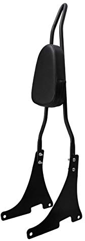 HCmotorku Motorrad Abnehmbare hintere Sozius-Rückenlehne Sissy Bar mit Polsterauflage Passend für Harley Sportster XL 883 1200 2004-2023