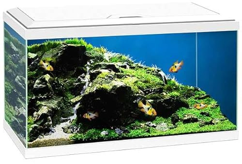 Love Aquatics 60 LED Tropical Glass White Aquarium - Includes Filter, Lights & Heater 58L Fish Tank With FREE Syphon Kit and Thermometer