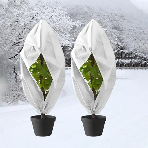 TAPT Winterschutz für Pflanzen, 2 Stück Winterschutz für Kübelpflanzen mit Reißverschluss und Zugband, Verdickte Faltbare Pflanzenschutz Winter für Obstbaum, Topfpflanzen, Palmen (120x180cm)