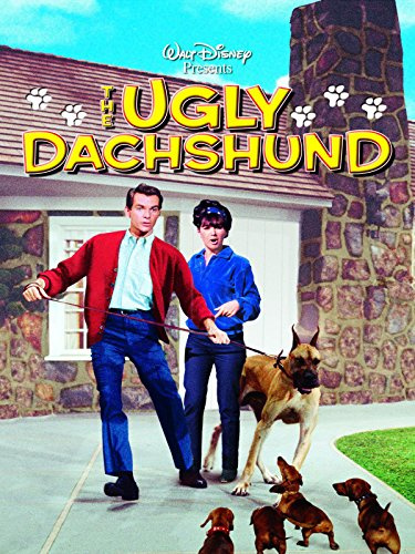The Ugly Dachshund