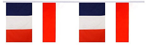 Digni Guirlande d'amitié 16 Drapeaux alternés France - Pologne - 5,9 m Sticker Gratuit