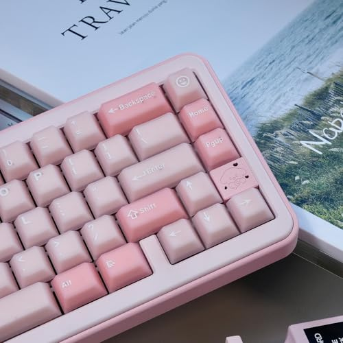 164 Keys PBT Doubleshot Cherry Profile Sakura Pink Translucent Keycaps Set | Fit for 61/64/87/104/108 Cherry Mx Switches Mechanical Keyboard