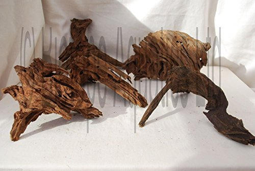 Other Mangrove AQUARIUM BOGWOOD ROOT (x1) size 15-20cm aquascaping wood driftwood for java moss or fern