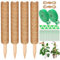 ZZQVIP Tuteur Monstera, 4 PCS 40 CM Tuteur Coco, Sphaigne avec Bande Crochet, Serre-câble et Ficelle, Tuteur Plante Grimpante pour La Maison Jardin Intérieur Plante Monstera - Extensible et Amovible