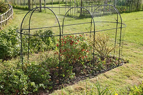 Haxnicks Steel Long Fruit Cage Frame with Bird Netting | Plant Protection for Gooseberries, Currants & Raspberries | Pest & Insect Barrier | Powder Coated Steel | Black | 300 x 100 x 150cm