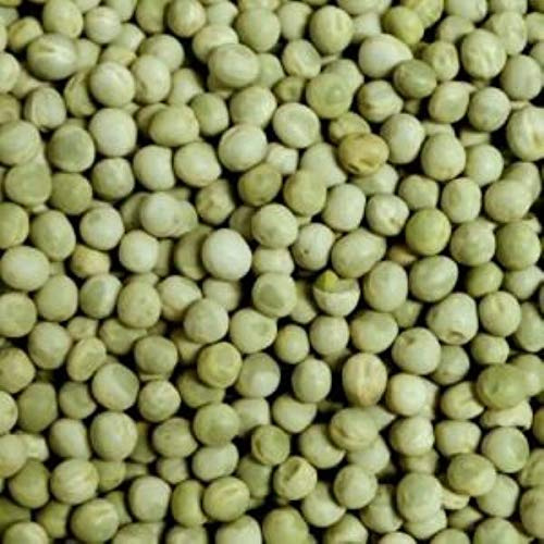 Eurital Erbsen grün 5 kg Futtererbsen für Tauben und Vögel | Grüne Futtererbse – Eiweißkomponente für den Schlag