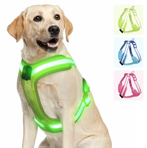 PZRLit Hundegeschirr Leuchtend, Leuchtgeschirr für Hunde Aufladbar, Leuchtendes Hundegeschirr LED, Leucht Geschirr für Hunde Reflektierend mit Licht Sicherheit im Dunkeln-Grün, Extra Groß
