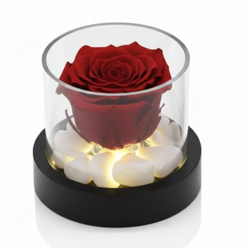 Passionefiori.it Premium-rose.com Rosa stabilizzata, Rosa stabilizzata con led, Rosa eterna, Box tondo con luci, Idea Regalo Unica e Raffinata, Idea Regalo per lei, Made in Italy (Rosso)