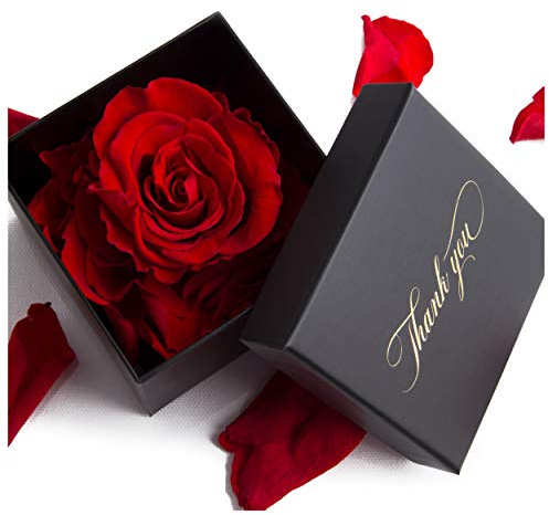 ROSEMARIE SCHULZ Heidelberg 1 Infinity Rose 3 Jahre haltbar Geschenkdose Thank You kleines Danke Geschenk (Rot, 1 Rose)