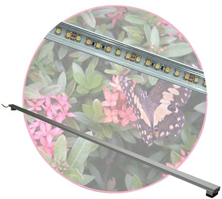 Regenwald Terrarium, Set1: 1x LED-Beleuchtung 150cm +Trafo,Tropen Pflanzenlicht