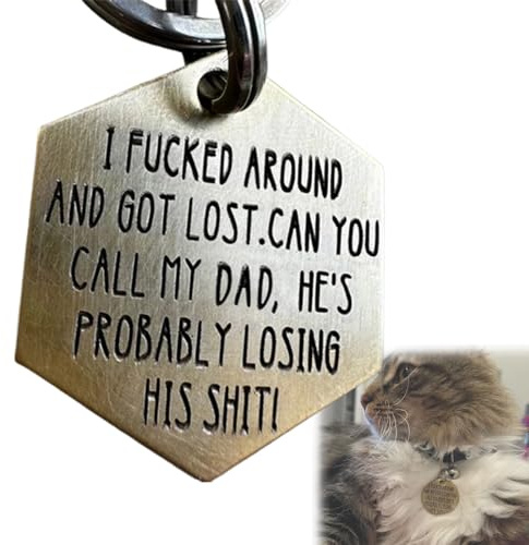Funny Dog Tag, Personalized Dog Tag Funny Pet ID Tag, Stainless Steel Pet Tags Pet Key Ring Dog Collar Tag for Dog Cats Owner or Dog Lover, Gifts for Dogs & Cats (I fucked around(DAD),1)