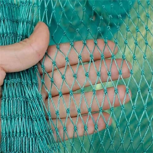Filet Anti Oiseaux Fraisier Filets pour Jardin Protège Les Plantes, Les Fruits, Les Arbres,6x10m