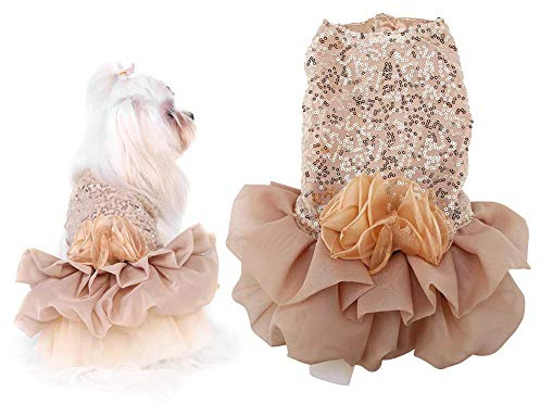 Hundkläder för små hundar, Tutu Bröllopsdräkt med Paljetter och Silkeslän, Prinsessa Elegant Kjol för Valpar i Guldfärg (Storlek S)