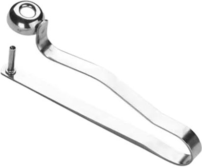 Dénoyauteur de Cerises - Dénoyauteur de jujube - en Acier Inoxydable - Dénoyauteur de Fruits - Portable - pour Raisins, Cerises