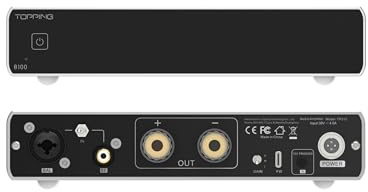 Topping B100 Reiner Mono-Leistungsverstärker - 100W Ausgangsleistung BAL/SE Eingang 3 Verstärkung 151dB SNR und DNR AMP mit 12V Trigger (Silber)