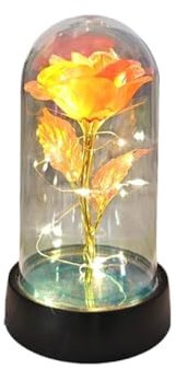 Forever Rose,Glass Rose,Eternal Rose Valentines Day Gift for Girlfriend Eternal Rose Light Foil Flower in Glass Cover Mothers Day Wedding Favors Bridesmaid Gift(Orange)