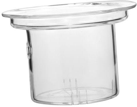 Cabilock Filtre À Thé En Verre Amovible 9.8 Cm Infuseur Pour Théière Accessoire Pratique Pour Maison Et Bureaux Compatible Avec Thé En Vrac