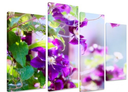 Clematis Flower Growing On A Fence + 4 Panel Standard - Multi Split Panel - Total Size 101cm x 71cm (40x28)