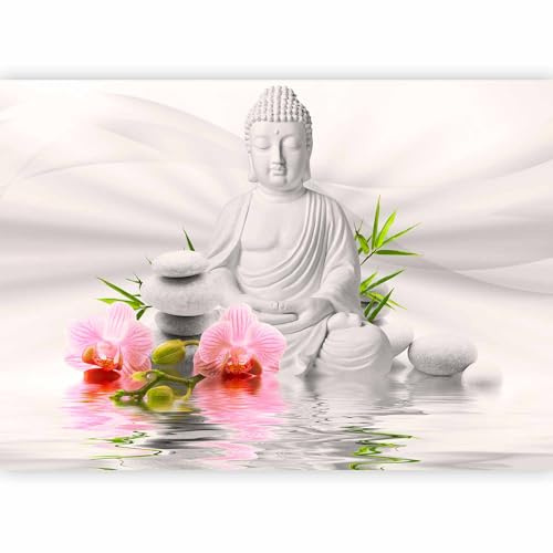 Fotomurale murando Carta da parati 400x280 cm TNT Murale alla moda Decorazione da Muro XXL Poster Gigante Design Carta per pareti Buddha b-A-0011-a-d