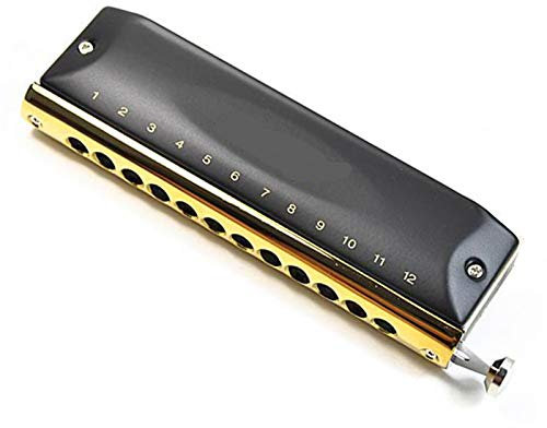 DINGGUANGHE-CUP Volksinstrumente Professional 12 Löcher 48 Tone Chromatische Mundharmonika Mundharmonika Blues Harp Musik Instrumentos Tonart C Musikinstrumente (Color : Black)