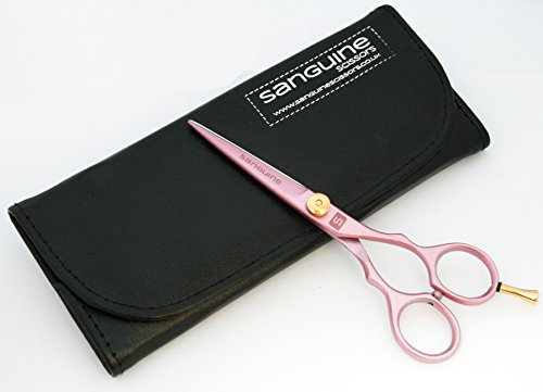 Ciseaux de coupe de cheveux professionnels roses – Ciseaux de coiffure adaptés à tous les types de cheveux – Lames ultra tranchantes pour réduire les pointes fourchues et – Étui inclus