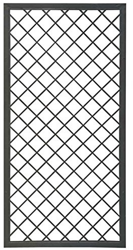 VERDEMAX Traliccio Fisso con Cornice in Metallo 180x90cm V008523