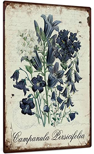 Flower Art Painting Sign, Vintage Wall Decor For Home, Living Room, Bedroom, Kitchen, Bar, Coffee Shop, Garage, Garden, Country Plaque Metal Sign Gift - Campanula Persicifolia 12x16 Inch