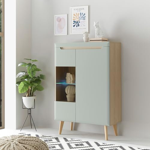 Lomadox Wohnzimmer Esszimmer, Vitrinenschrank, Vitrine in Grün Matt mit Eiche inkl. Beleuchtung