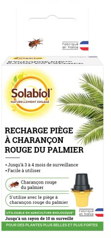 SOLABIOL Recharge pour Piège - Lutte Contre le Charançon Rouge du Palmier - Etui 1 Flasque - Utilisable en Agriculture Biologique - Fabriqué en France - SORECPALM