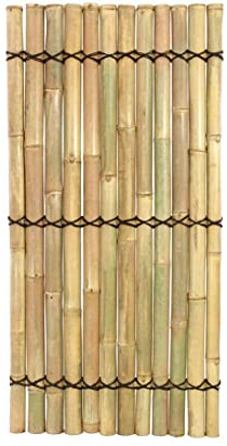 Sichtschutzzaun Bambuszaun Apas5 gelblich mit 180 x 90cm - Bambus Sichtschutzwand aus dicken Bambusrohren 1,8m x 0,9m von bambus-discount
