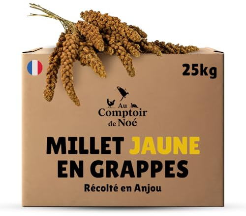 Millet en Grappes Jaune 25 kg, Alimentation pour Oiseaux, Récolté en France en Anjou, 100% Naturel, Millet Français pour Développer la Vitalité, Graines pour Oiseaux Domestiques