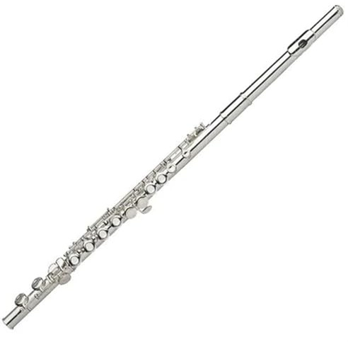 Querflöte Instrument Flöteninstrument 16 Löcher Geschlossene C-Tonart Professionelles Üben Für Anfänger