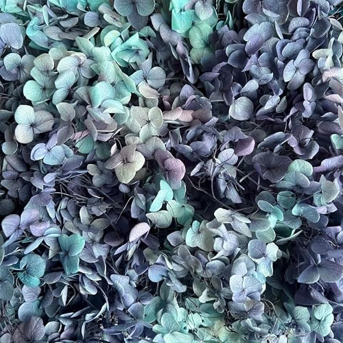 Preserved Dried Hydrangea - 10g of Hydrangea Flower Petals, UK Florist, for Wedding Decor, Handmade, DIY, Party Office Home Decor (Dark Blue Mix)