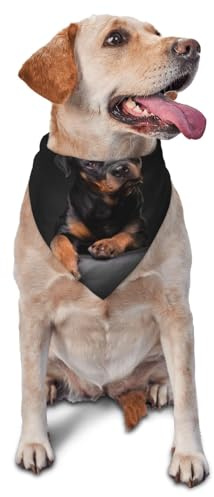 Rottweiler Loyally Dog Bandanas Katzenwelpenschals Waschbares Haustiertaschentuch