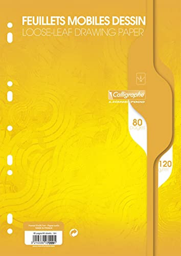 Calligraphe 7099C - Packung mit 80 Blatt Ringbucheinlagen Calligraphe DIN A4 21x29,7 cm, blanko, 120g, 9-fach gelocht, zur Ablage im Ordner / Ringbuch, Weiß, 1 Pack